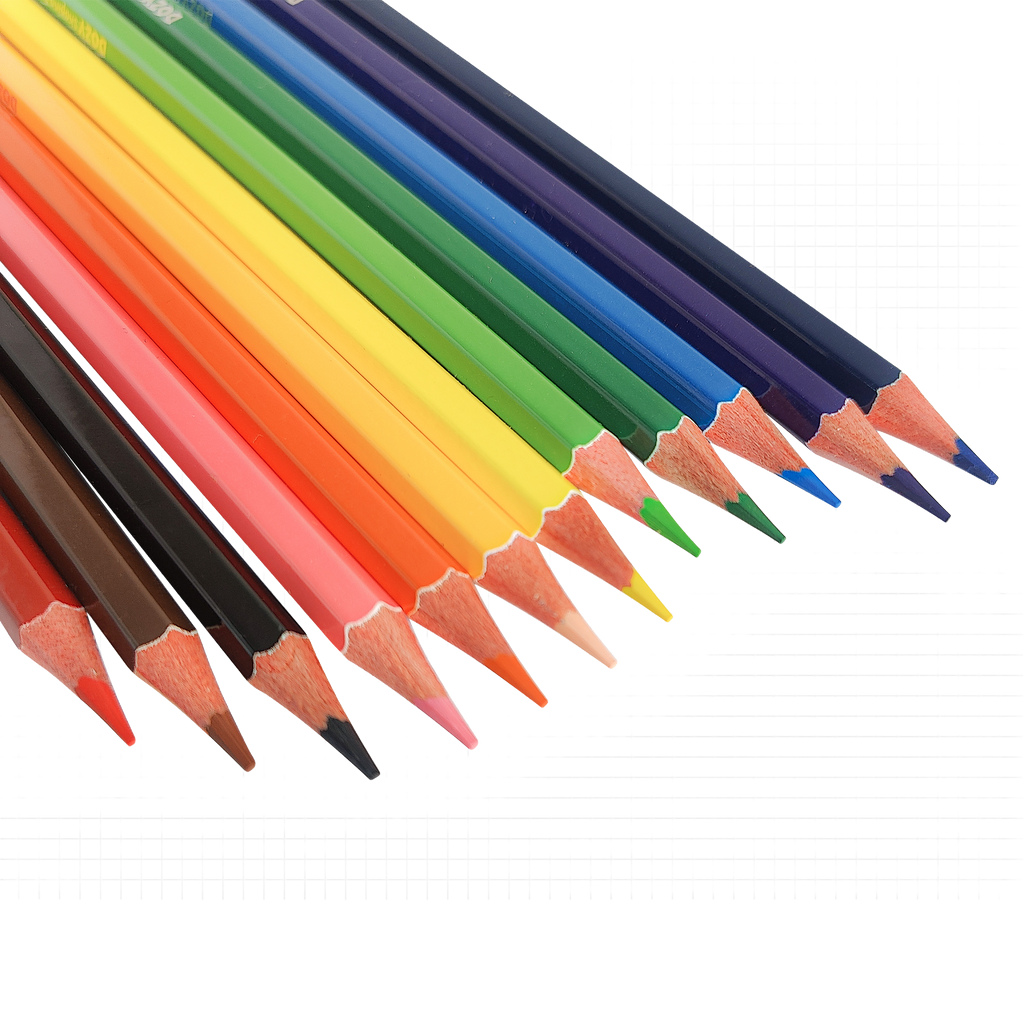 Long Colour Pencil 12