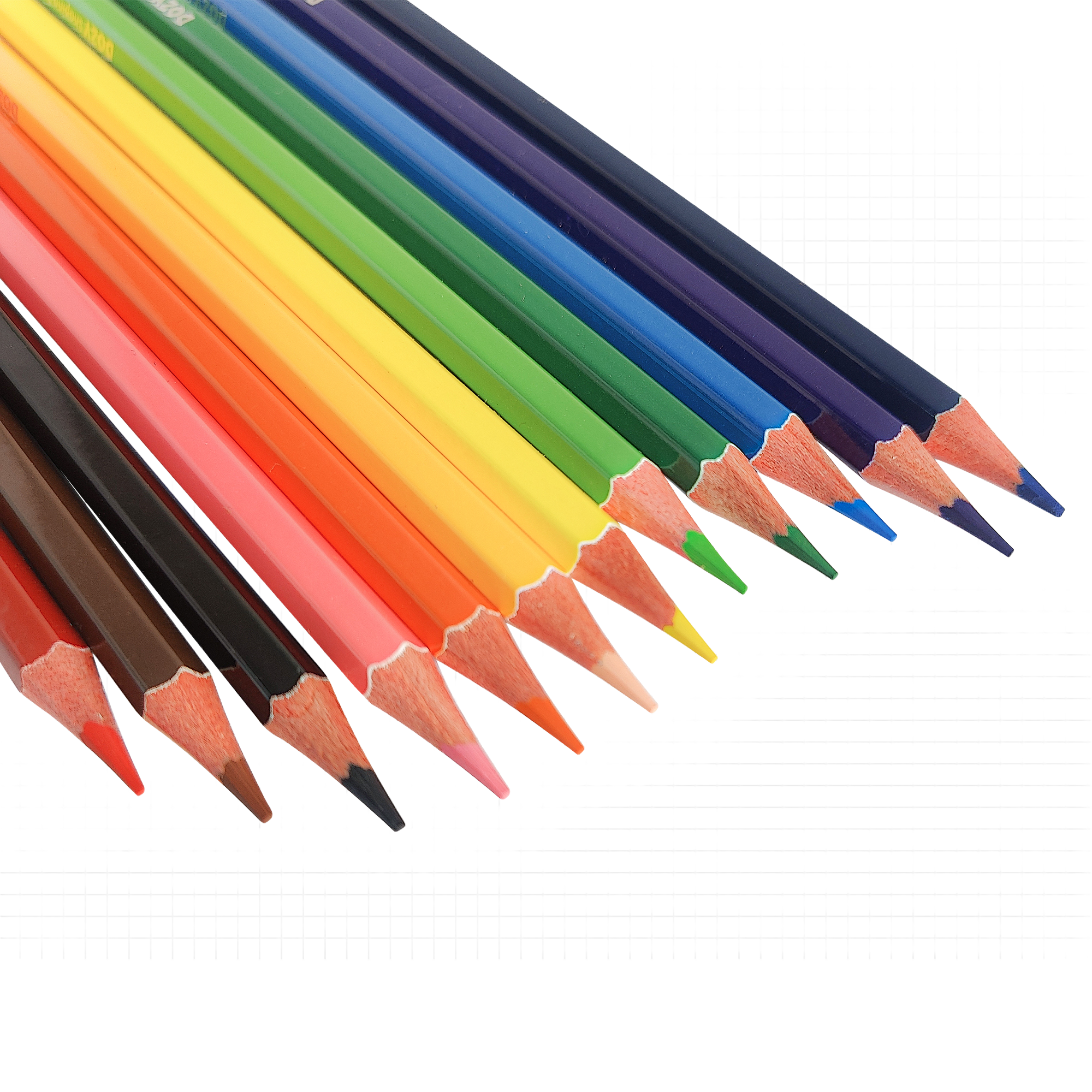 Long Colour Pencil 12