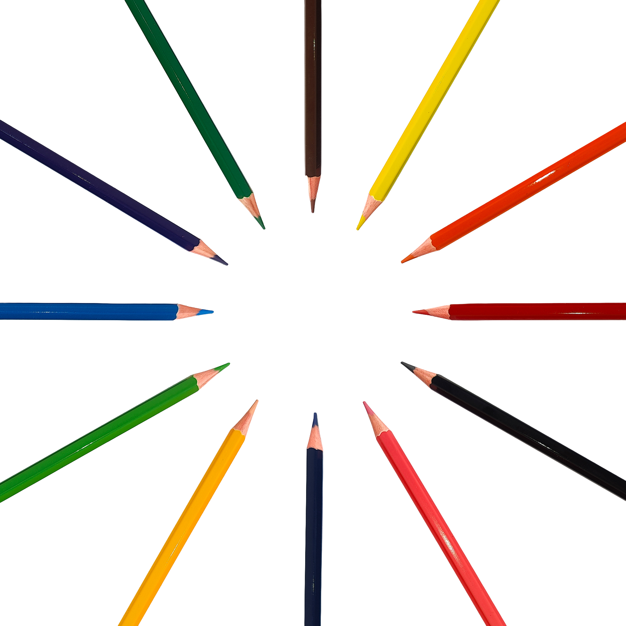 Long Colour Pencil 12