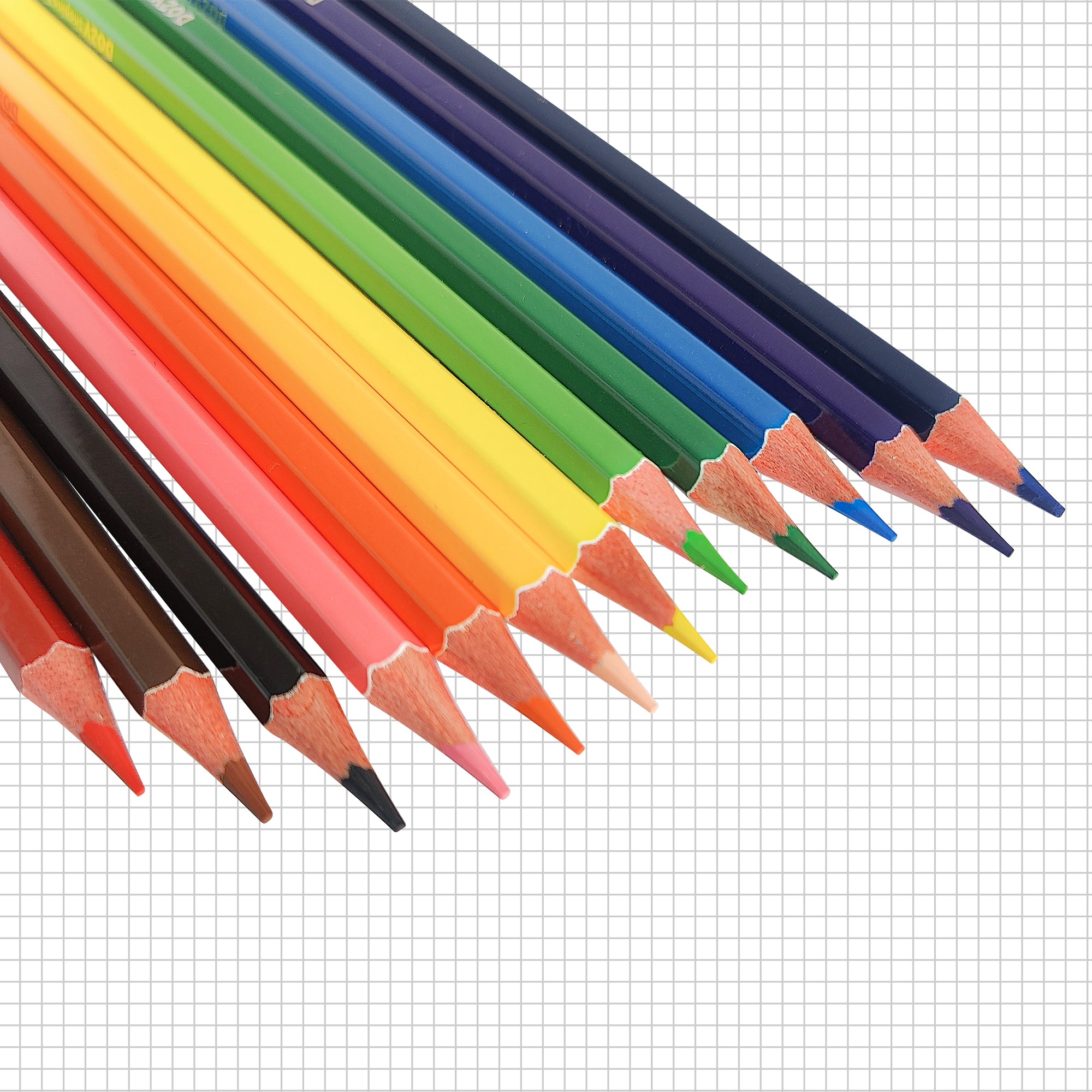 Long Colour Pencil 12